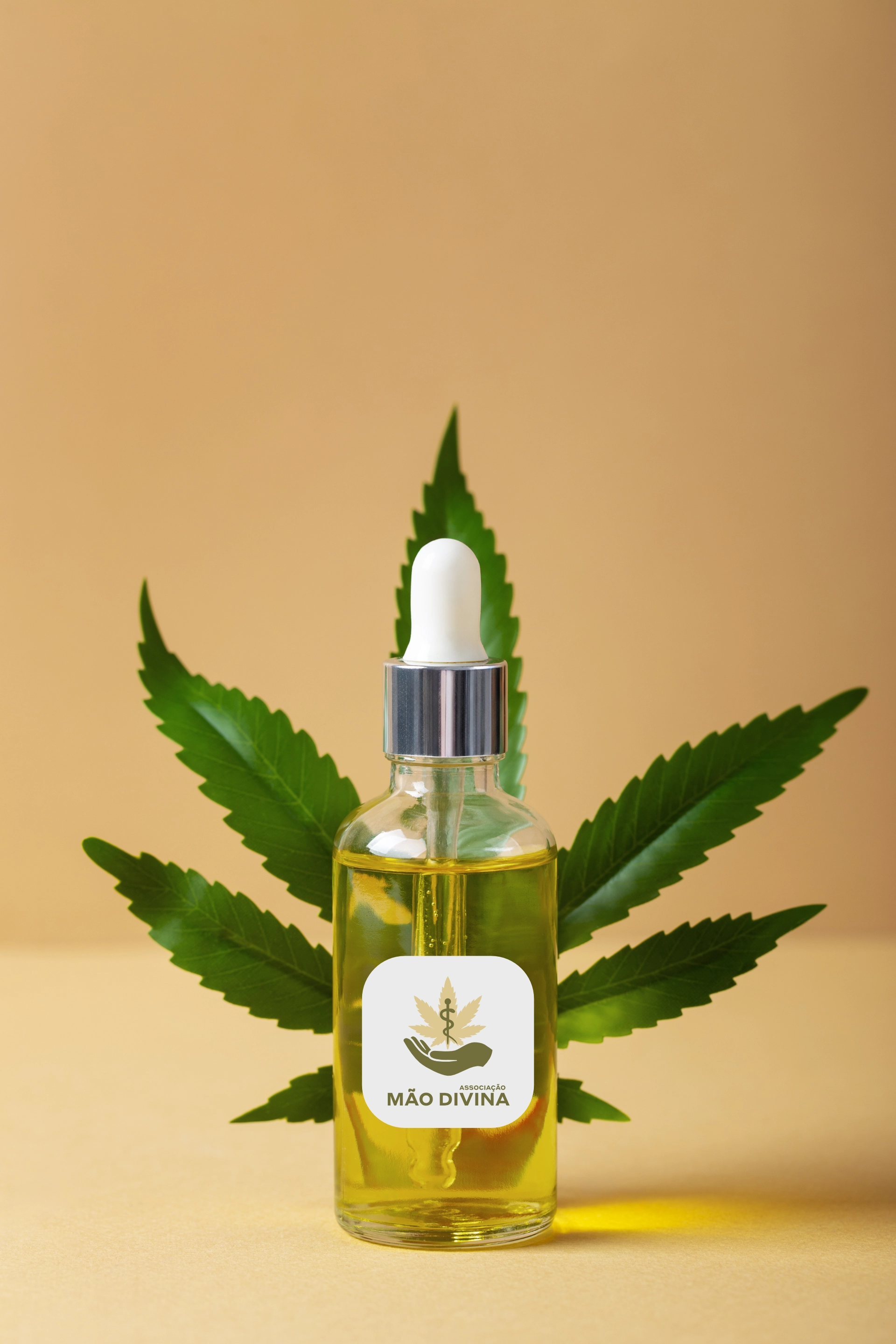 Profissionais da Associação A Mão Divina